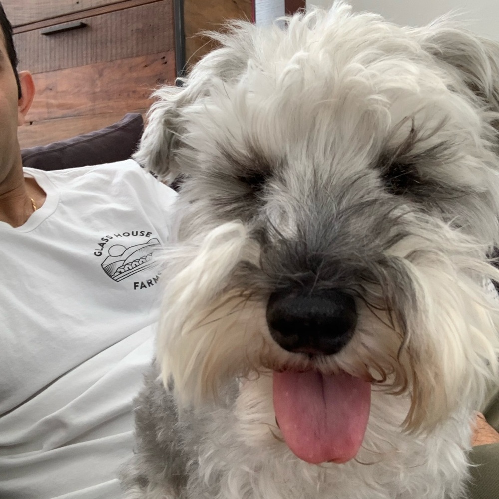 Meet your Posher, Gurvinder